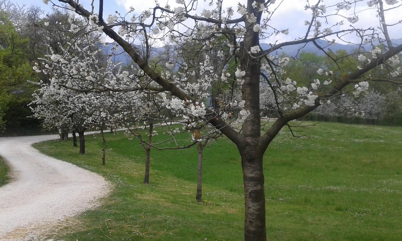 Albergo Rurale Parco Di San Floriano Polcenigo Eksteriør bilde