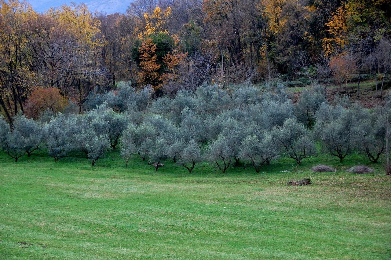 Albergo Rurale Parco Di San Floriano Polcenigo Eksteriør bilde